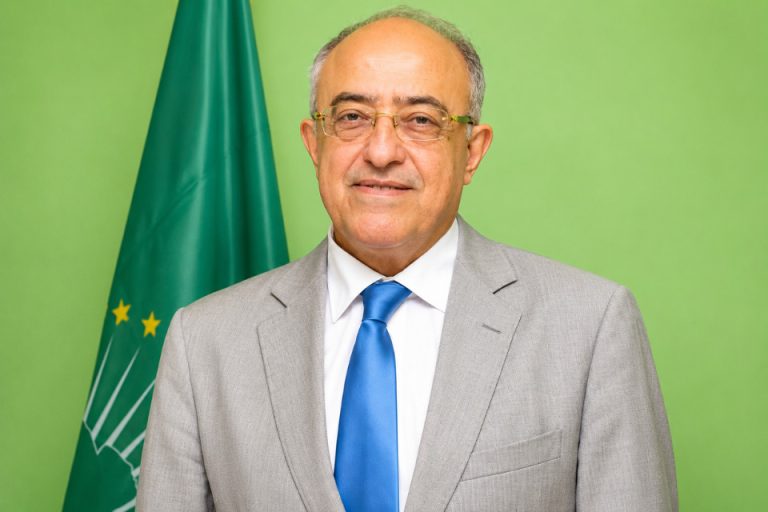 Commissioner, Hatem Essaïem